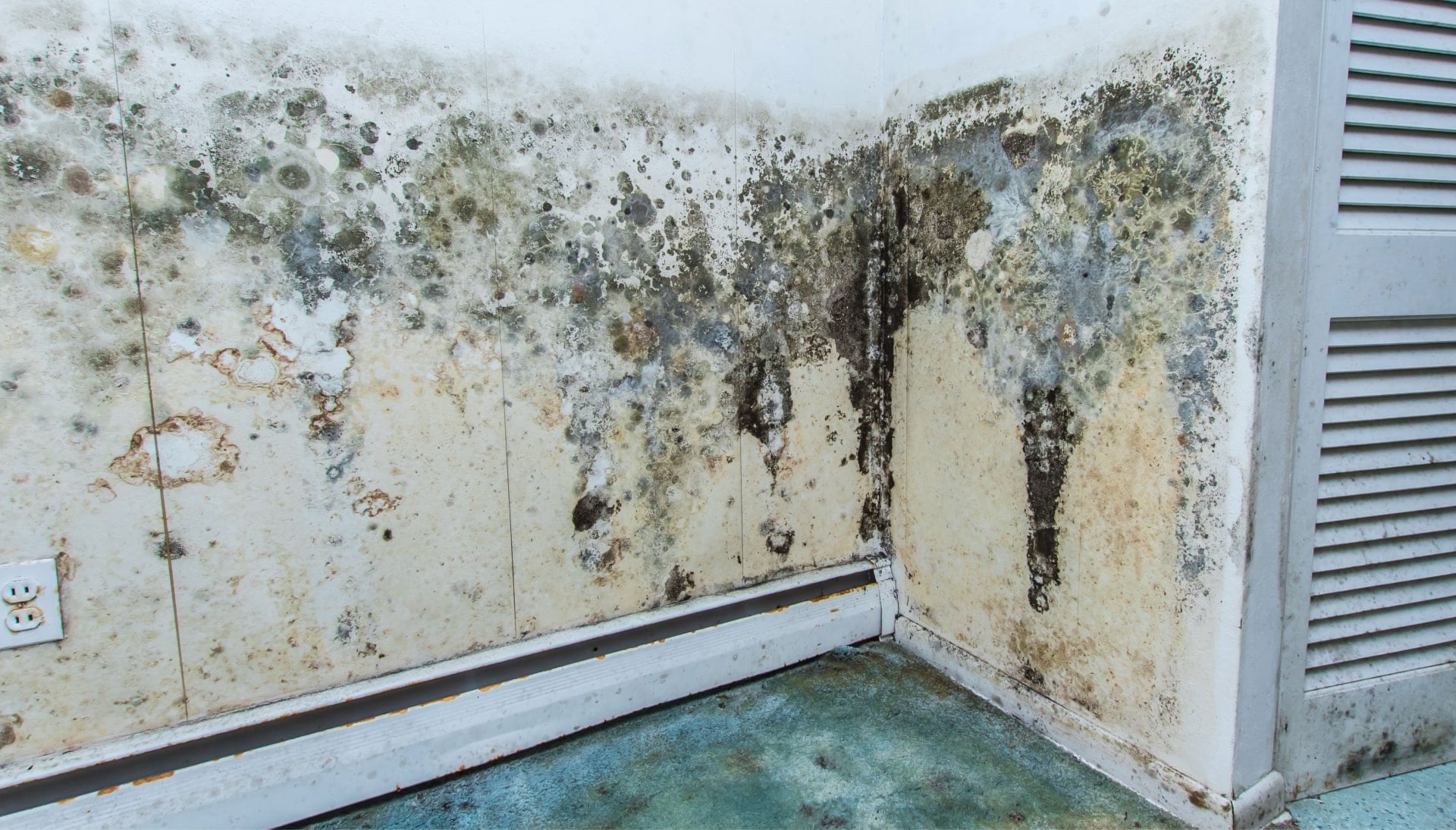 Professional mold removal, odor control, and water damage restoration service in Alexandria, Virginia.