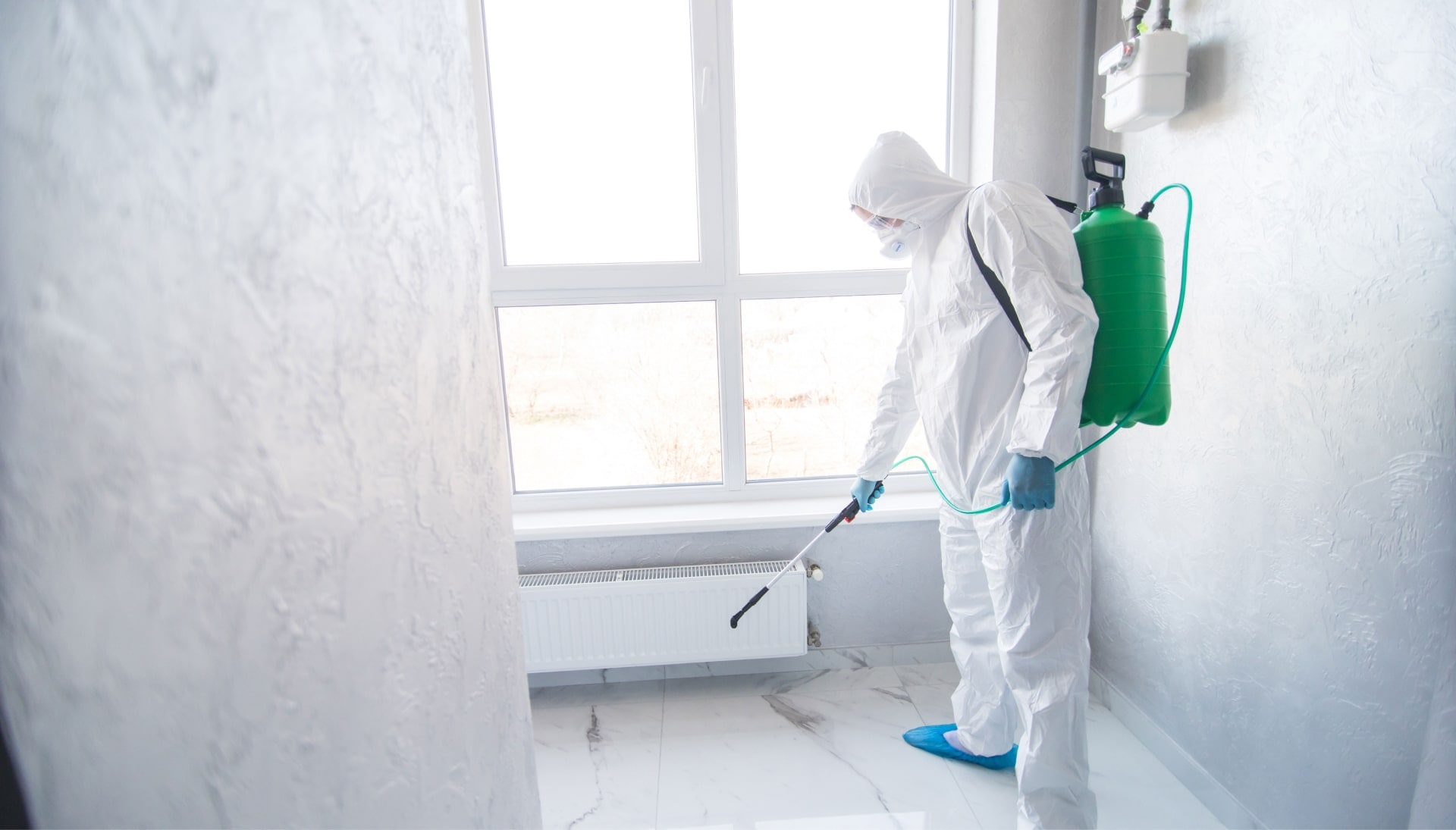 We provide the highest-quality mold inspection, testing, and removal services in the Alexandria, Virginia area.